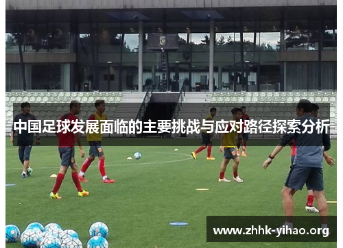 中国足球发展面临的主要挑战与应对路径探索分析