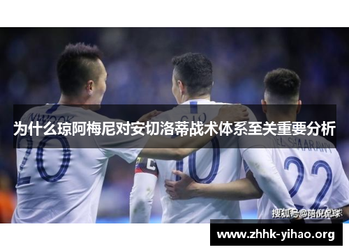 为什么琼阿梅尼对安切洛蒂战术体系至关重要分析