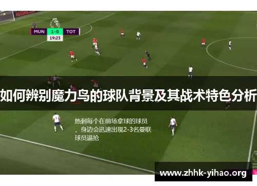 如何辨别魔力鸟的球队背景及其战术特色分析