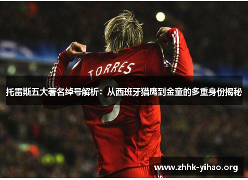 托雷斯五大著名绰号解析:从西班牙猎鹰到金童的多重身份揭秘 托雷斯五大著名绰号解析:从西班牙猎鹰到金童的多重身份揭秘